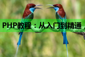 PHP教程:从入门到精通,掌握SEO知识助力自由职业培训