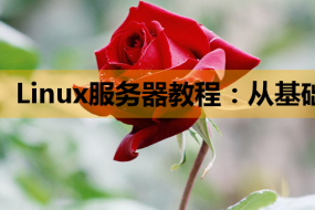 Linux服务器教程:从基础搭建到PHP开发与SEO优化全攻略