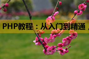 PHP教程:从入门到精通,轻松搭建网站并掌握MySQL培训