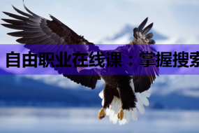 自由职业在线课:掌握搜索引擎优化与MySQL的钥匙