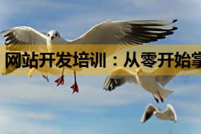 网站开发培训:从零开始掌握JS知识与建站技能