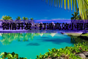 微信开发:打造高效小程序,助力企业数字化转型