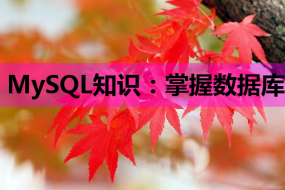 MySQL知识:掌握数据库核心技能,助力自由职业培训与微信开发