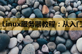 Linux服务器教程:从入门到精通,掌握Linux系统的管理与优化