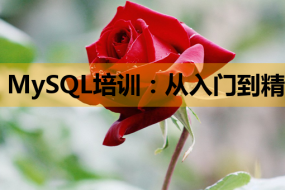 MySQL培训:从入门到精通,助力微信开发与自由职业之路