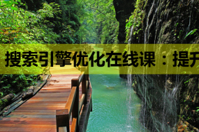 搜索引擎优化在线课:提升网站排名的必备技能