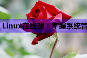 Linux在线课:掌握系统管理与优化,助力微信开发培训与SEO教程学习