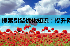 搜索引擎优化知识:提升网站排名的关键策略