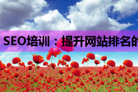 SEO培训:提升网站排名的必备网络营销课程知识