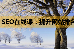 SEO在线课:提升网站排名的必备技能与Linux服务器知识