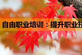 自由职业培训:提升职业技能,开启网络营销与网站开发新篇章