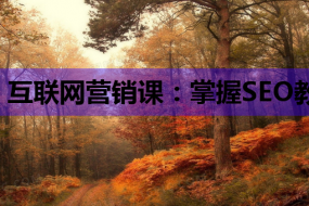 互联网营销课:掌握SEO教程与网站开发在线课,助力你的事业腾飞