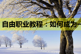 自由职业教程:如何成为一名精通MySQL与PHP的在线课程讲师