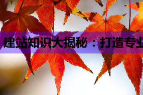 建站知识大揭秘:打造专业网站的必备指南