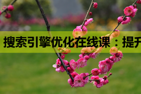 搜索引擎优化在线课:提升网站排名的必修课