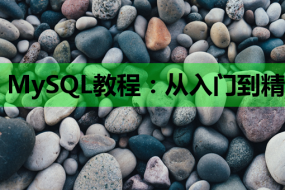 MySQL教程:从入门到精通,助力建站与JS知识融合