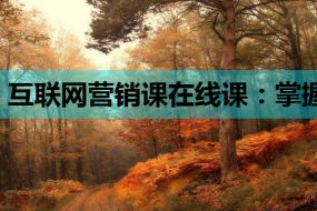 互联网营销课在线课:掌握SEO教程与网络营销课程知识