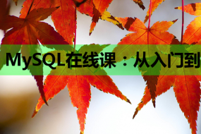 MySQL在线课:从入门到精通,助力网站开发之路