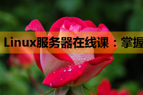 Linux服务器在线课:掌握HTML与PHP,开启网站开发之旅
