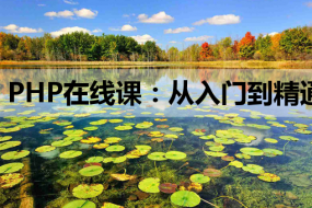 PHP在线课:从入门到精通,轻松掌握MySQL知识与微信开发教程