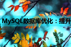 MySQL数据库优化:提升网站性能的搜索引擎优化教程